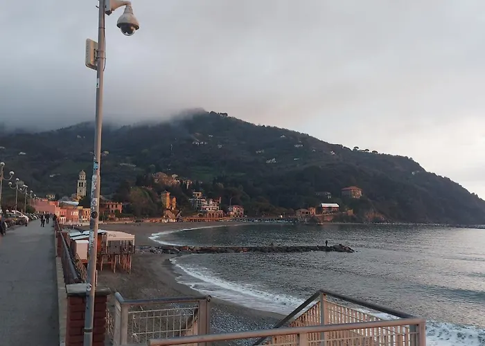 La Jeannotte 莱万托